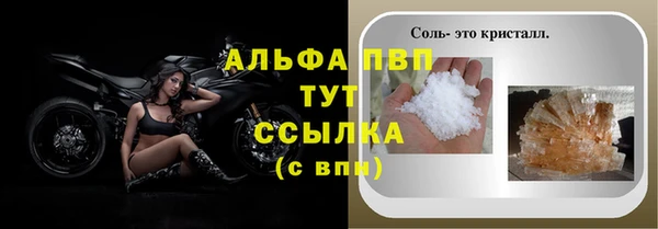 PSILOCYBIN Богородск