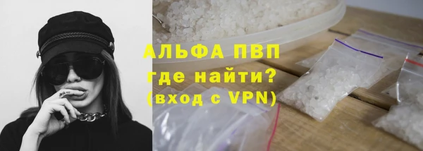 PSILOCYBIN Богородск