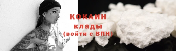 таблы Богородицк