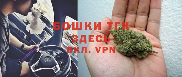 таблы Богородицк