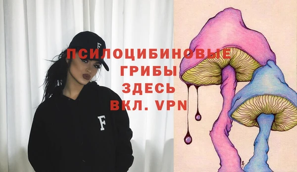 таблы Богородицк