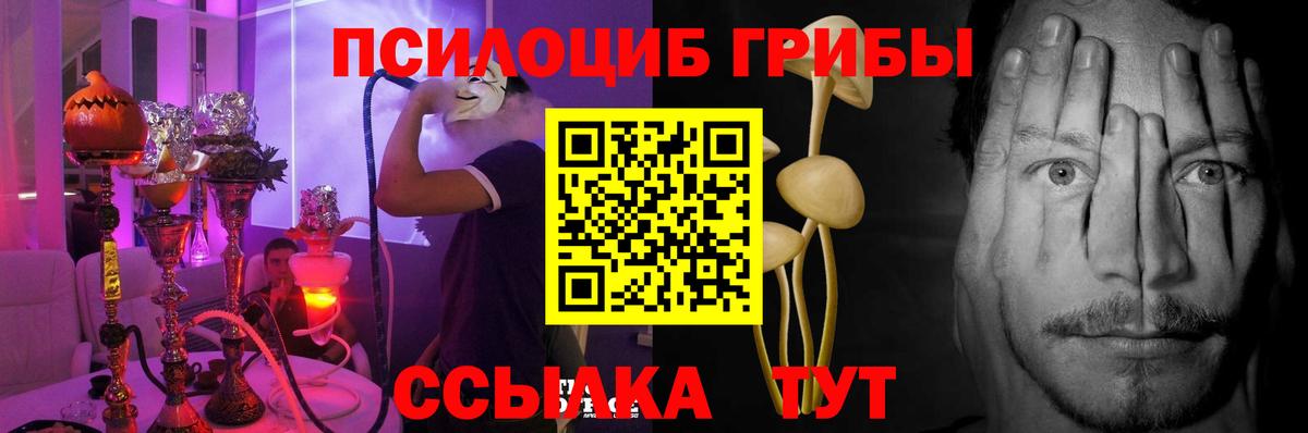 Галлюциногенные грибы Psilocybine cubensis  Вход с VPN  Надым  Галлюциногенные грибы Psilocybine cubensis 